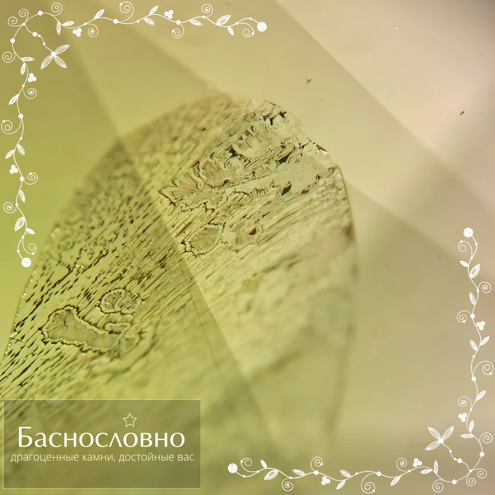 Включение в хризолите. Амёба? =)